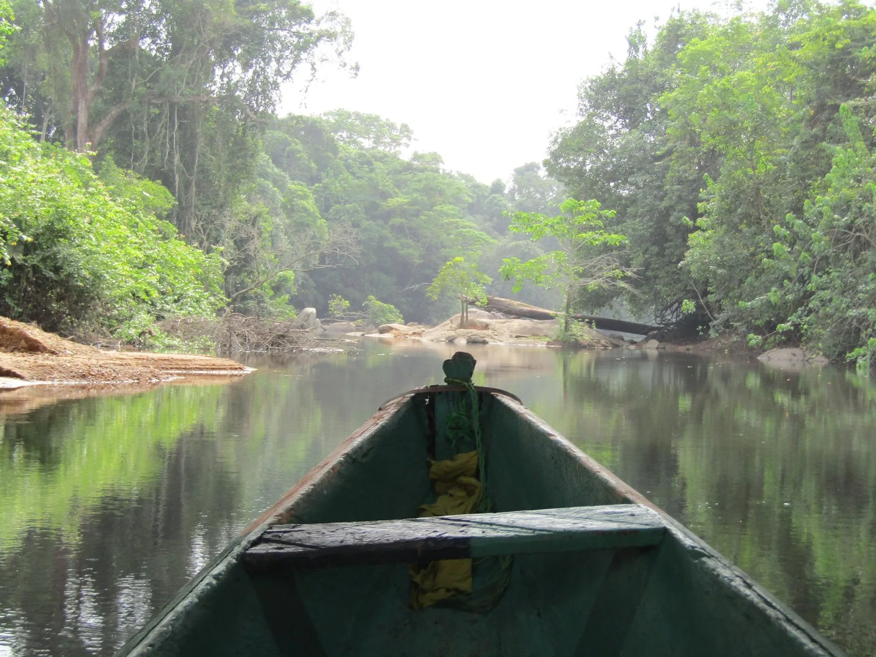 Traversée en pirogue dans une forêt