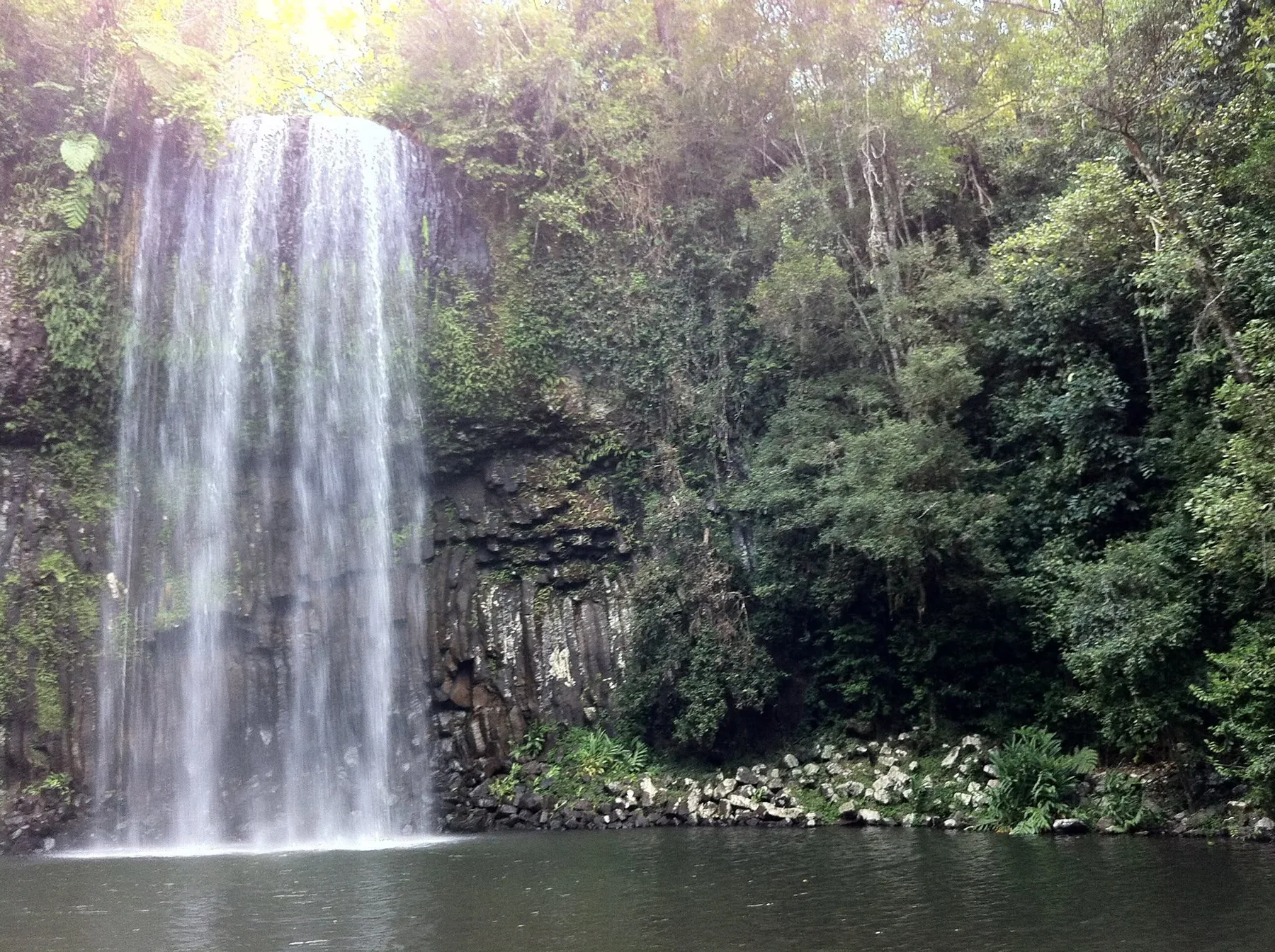 Cascade dans une forêt tropicale
